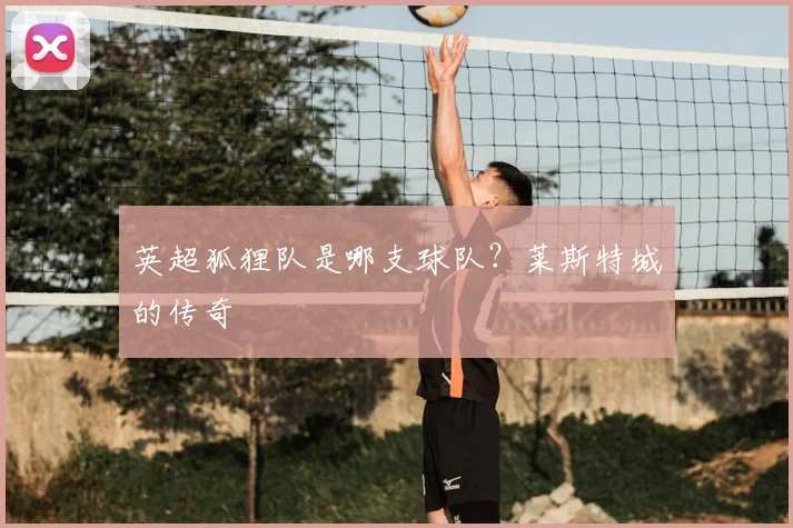 英超狐狸队是哪支球队?莱斯特城的传奇