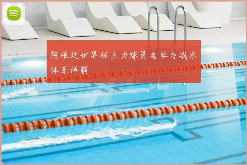 阿根廷世界杯主力球员名单与战术体系详解