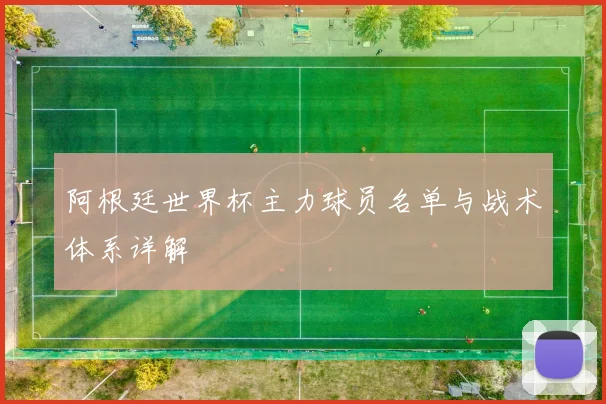 阿根廷世界杯主力球员名单与战术体系详解