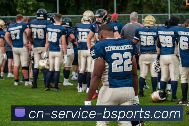 B体育APP 体育赛事宣传图